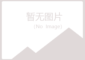 白银平川迎夏工程有限公司